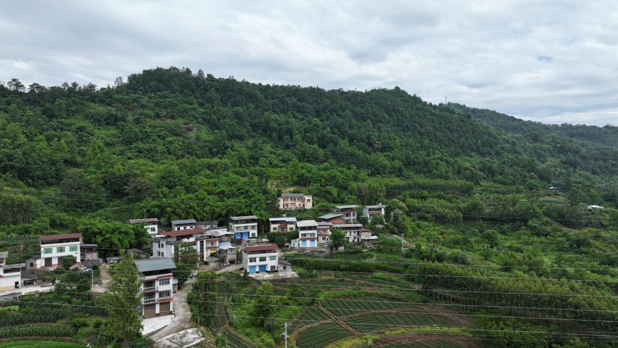 “生活污水变废为宝！” 万州乡村“焕新颜”