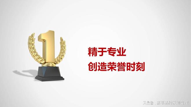 养生项目投资规划策略与市场前景分析