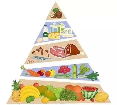 联邦营养援助计划参与时长与人口健康特征对儿童饮食质量及体重状况的预测机制研究(图1)