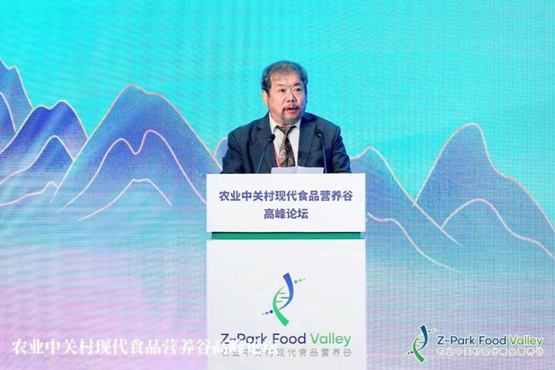 tdiv data=datasource：2023041790c0338a38214334bec79f593fc13ac6 type=content(图3)