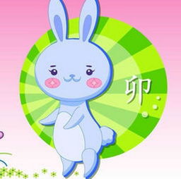 今日运势：生肖兔87年今日运势（87年属兔的财运）(图1)