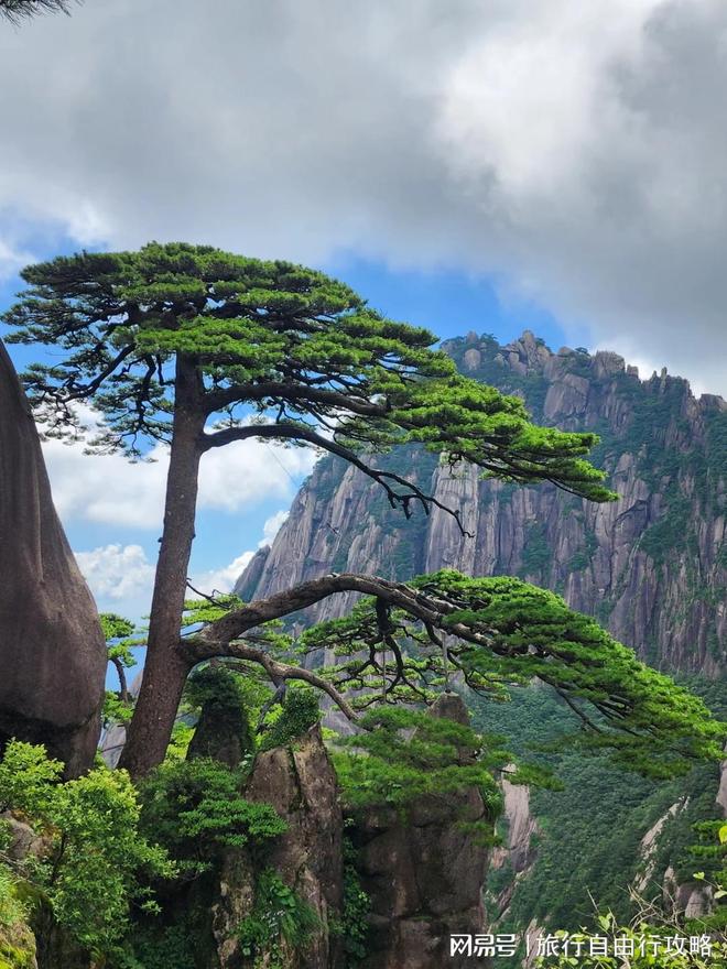 黄山精华景点报团五天怎么安排行程？黄山5日游行程规划(图4)