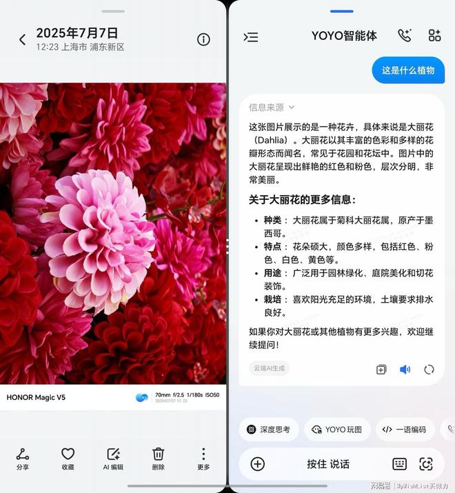 更懂你的AI助手：荣耀Magic V5 AI功能评测(图5)