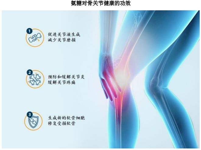 HMB全球龙头技源集团：扎根运动健康赛道凭多元布局赢长远未来(图3)