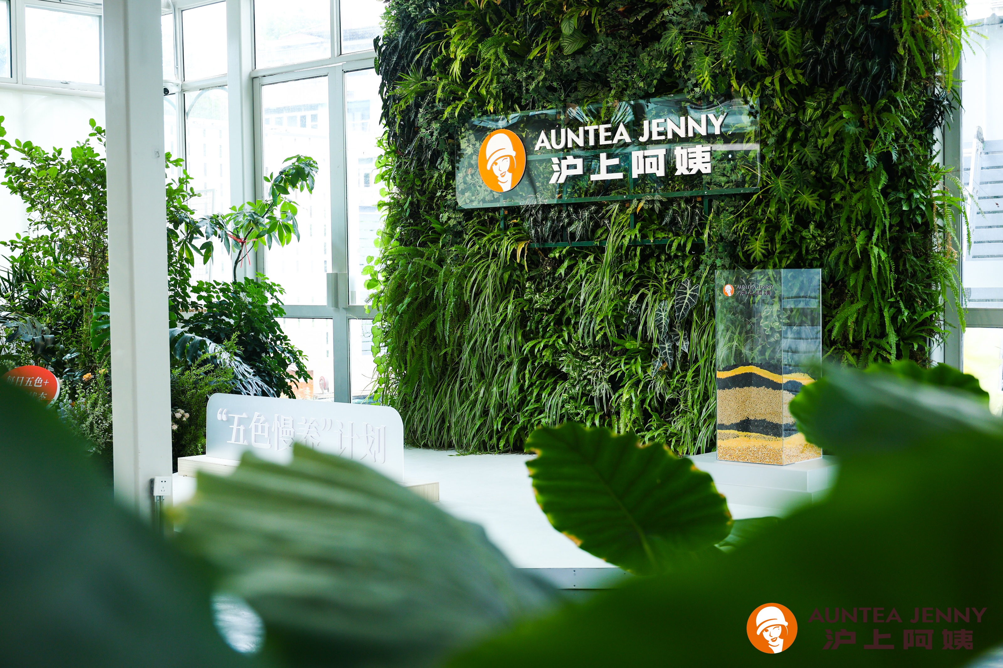 沪上阿姨12年坚守初心“五色慢养”计划构建新生态(图4)