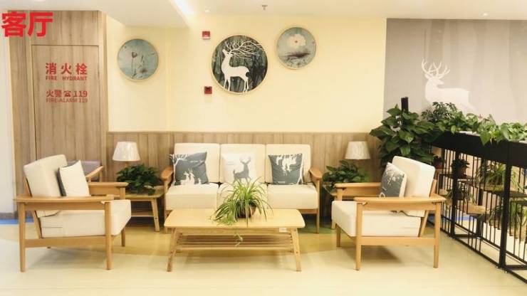 2025上海浦东新区养老院大揭秘!失能特护哪家强？24h医护值守营养配餐速查名单(图9)