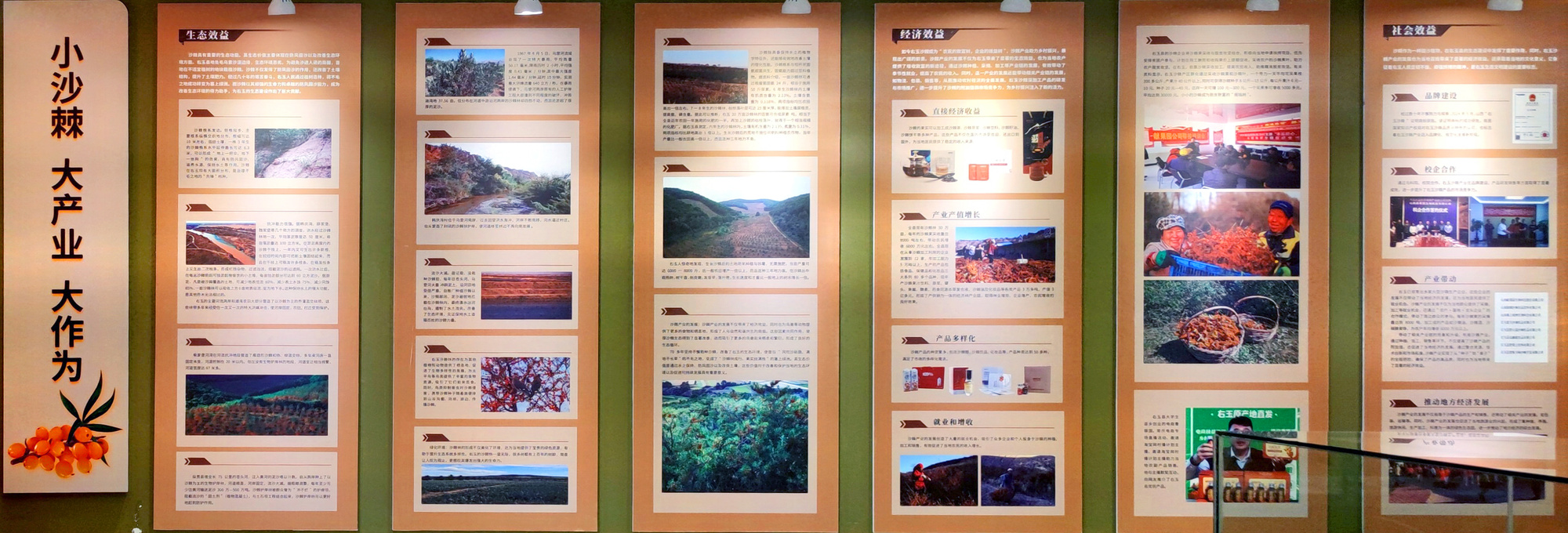 小沙棘撬动大产业 山西右玉创新构建现代农业全产业链(图3)