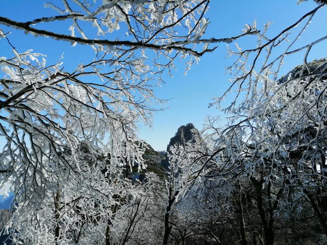 十步规划黄山自由行：精选必去景点+实用贴士游黄山新手直接抄(图4)