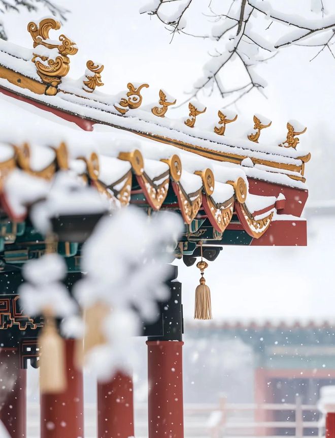 带父母去北京五天四晚跟团游价格全解析：人均预算与行程规划指南(图2)