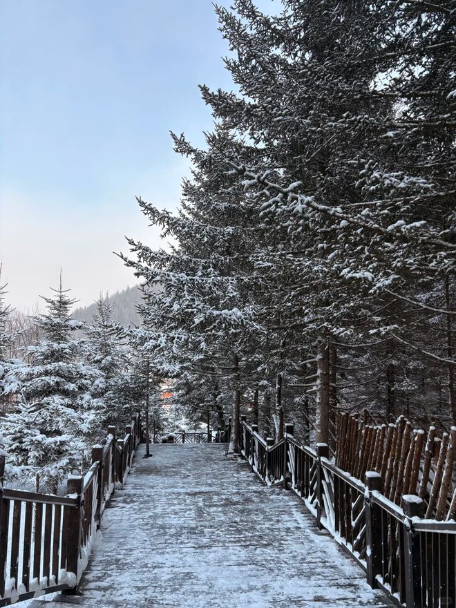 梦幻雪乡深度游：五日行程规划+地道美食推荐(图1)