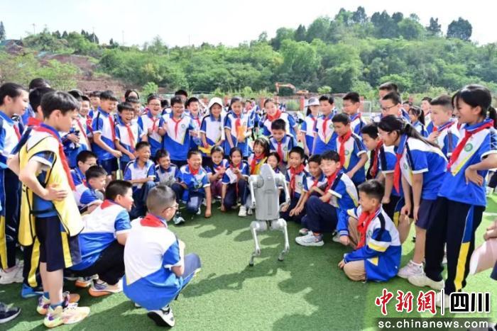 简阳这五年：优质教育惠万家(图1)