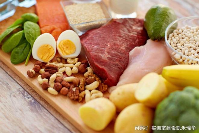 食品营养与健康实训室建设方案：健康护航前行(图2)