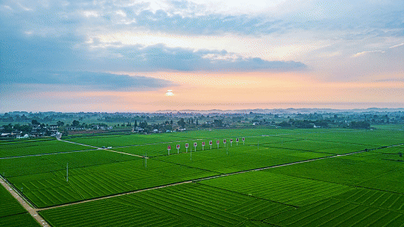 行稳致远开新局丨打造西部重要增长极“川”潮何以澎湃？(图2)