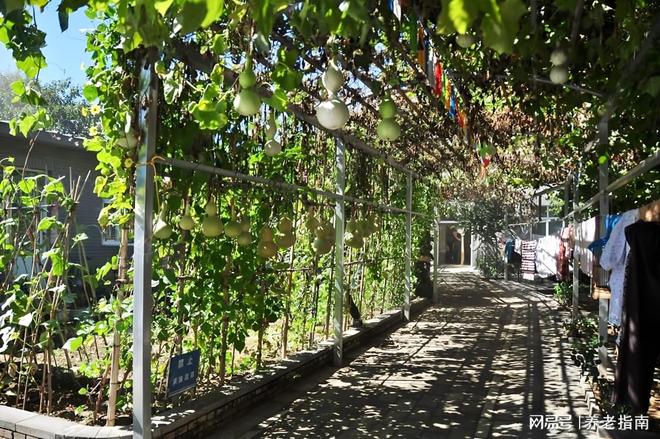 双缘敬老院咨询热线月价格更新动态位置路线规划(图1)