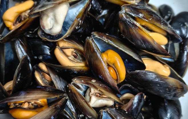 一天能卖15万斤！又肥又嫩！“日照开春第一鲜”迎来丰收季！(图5)