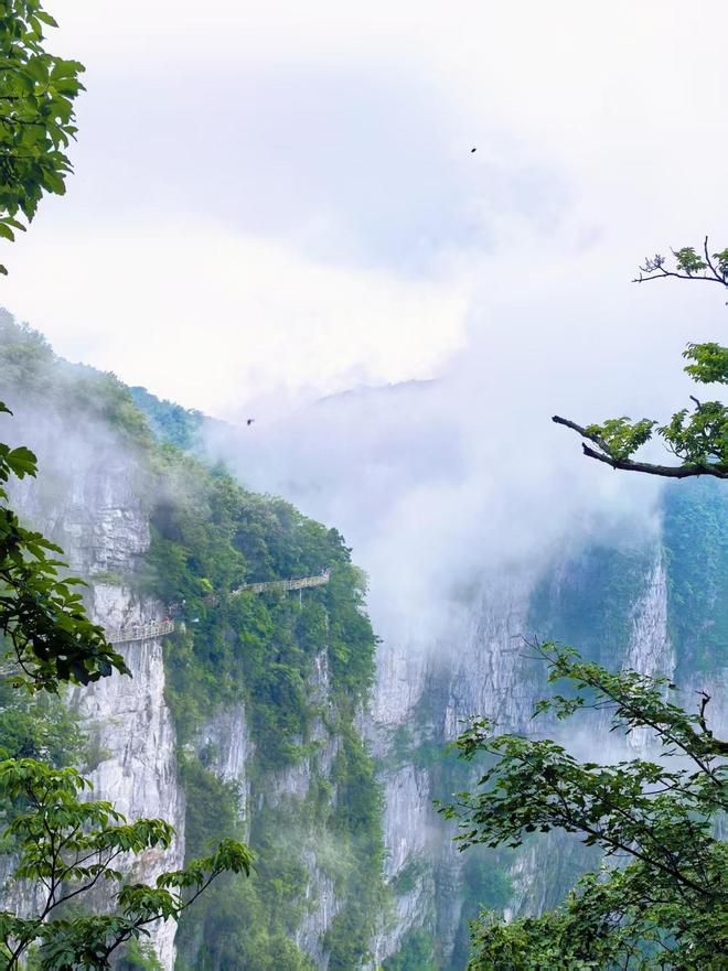 张家界5日游仅千元！含路线规划+避坑指南亲测超实用(图2)