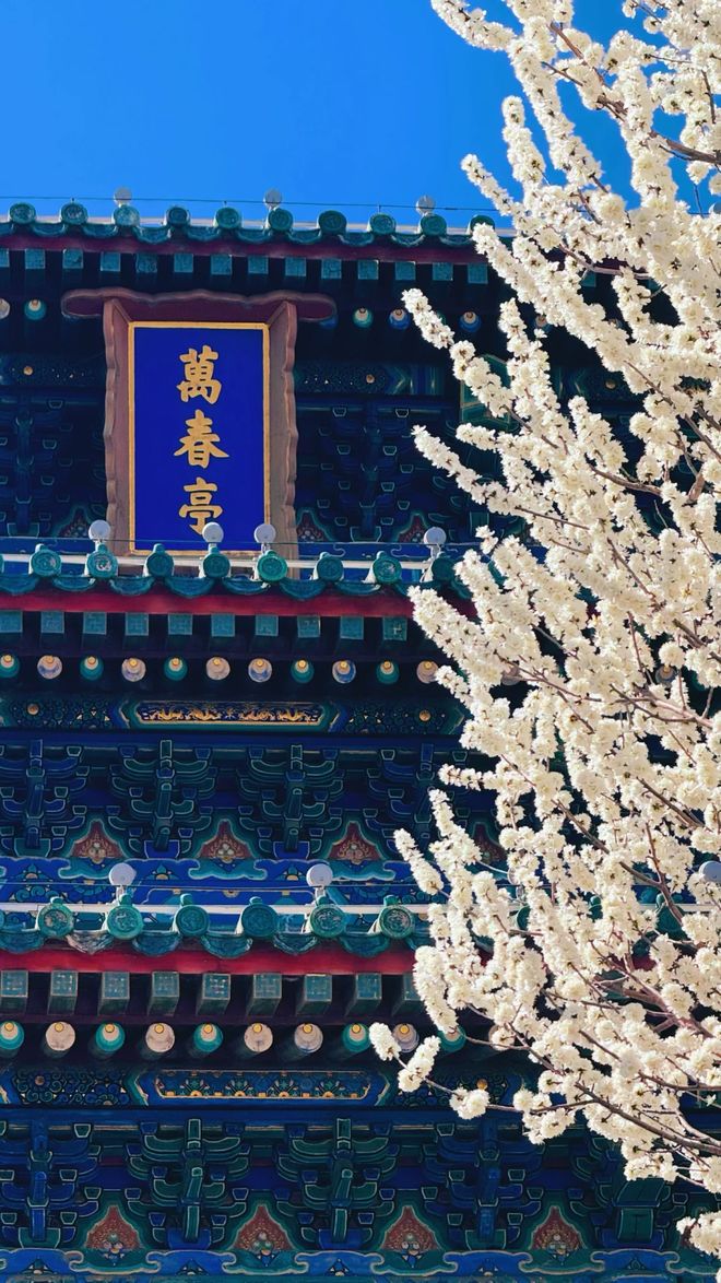 北京导游报团服务5天4晚详细价格家庭结伴五日游旅游规划全攻略(图1)