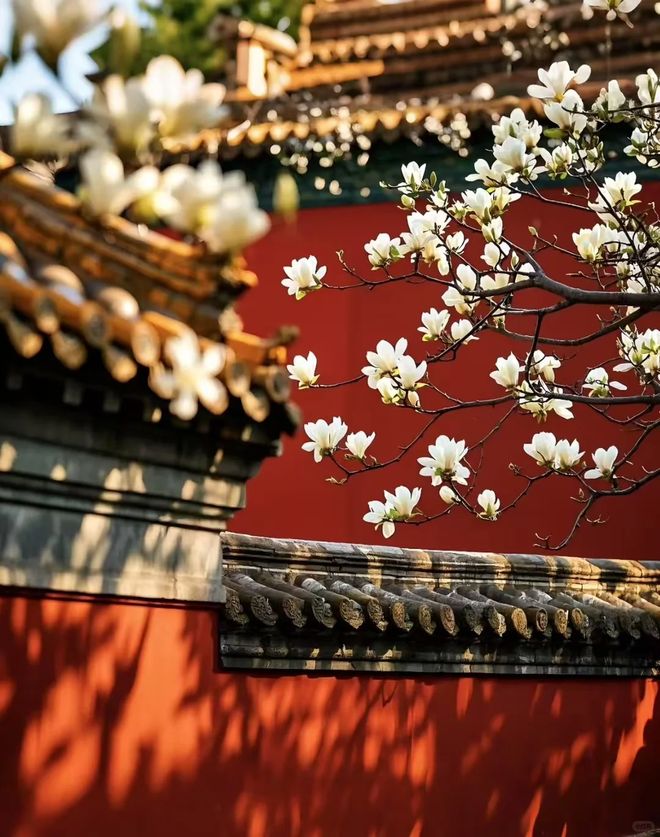 北京导游报团服务5天4晚详细价格家庭结伴五日游旅游规划全攻略(图3)