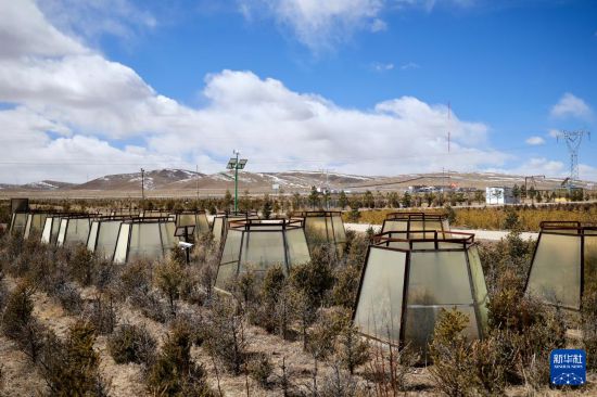西藏那曲：用科技唤醒“高原绿”(图2)