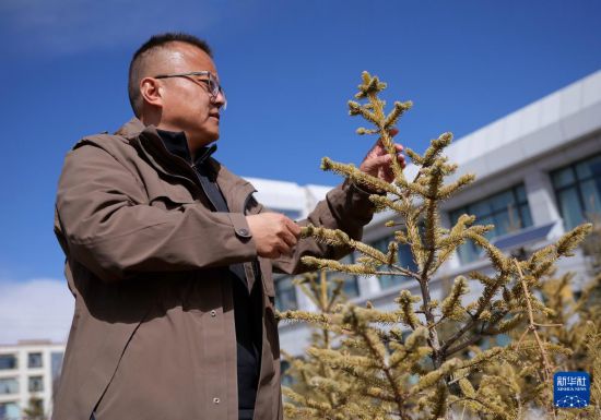 西藏那曲：用科技唤醒“高原绿”(图1)