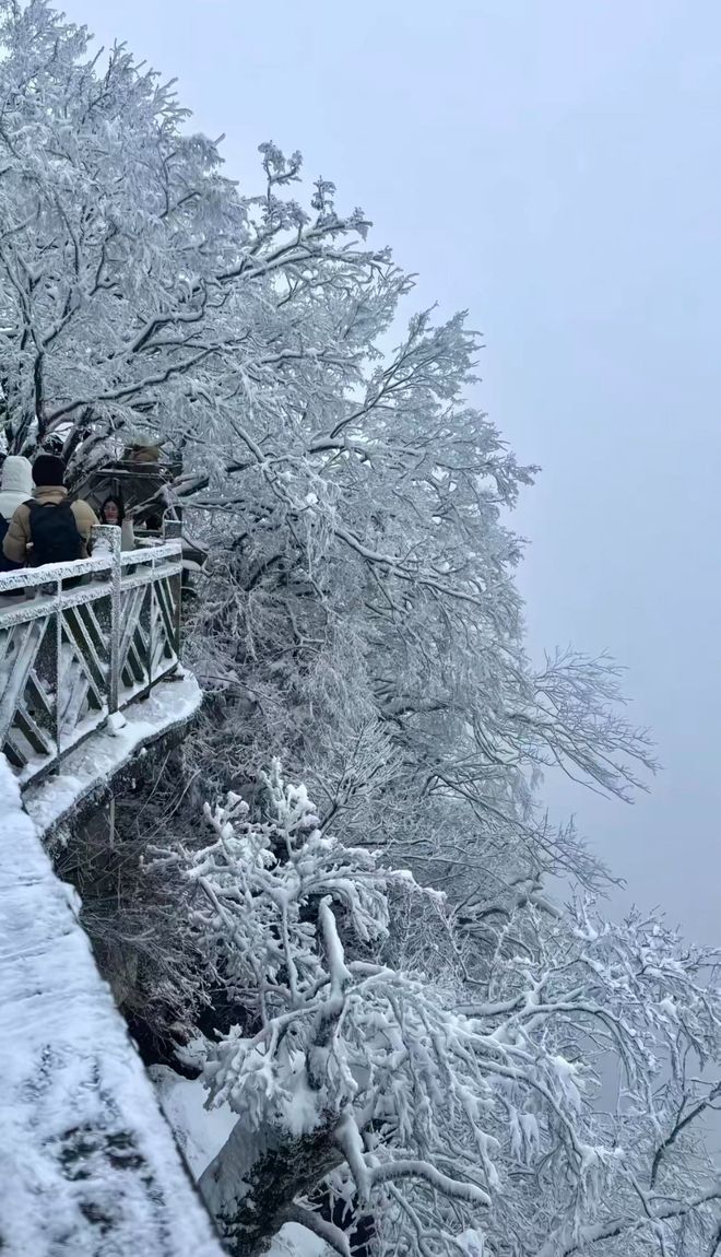 张家界旅游区地图：跟团路线规划与景点分布(图1)