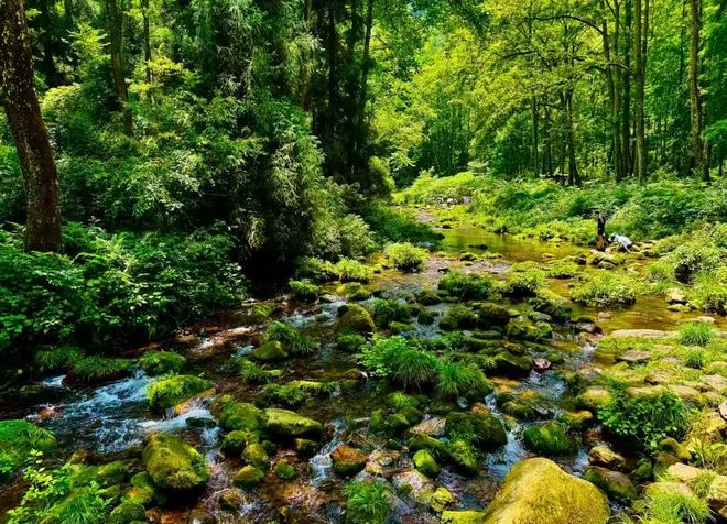 湖南张家界玻璃桥3日游自由行攻略三天两晚行程规划及秘境游玩(图2)