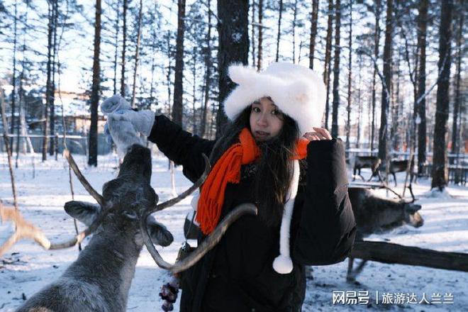 漠河旅游3天亲子游：行程规划+费用+旅行社联系方式(图2)