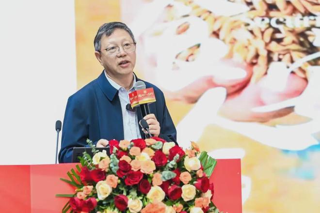 五年规划擘画新篇！金丰公社以百县万村增产示范引领全国主粮增产新路径(图3)