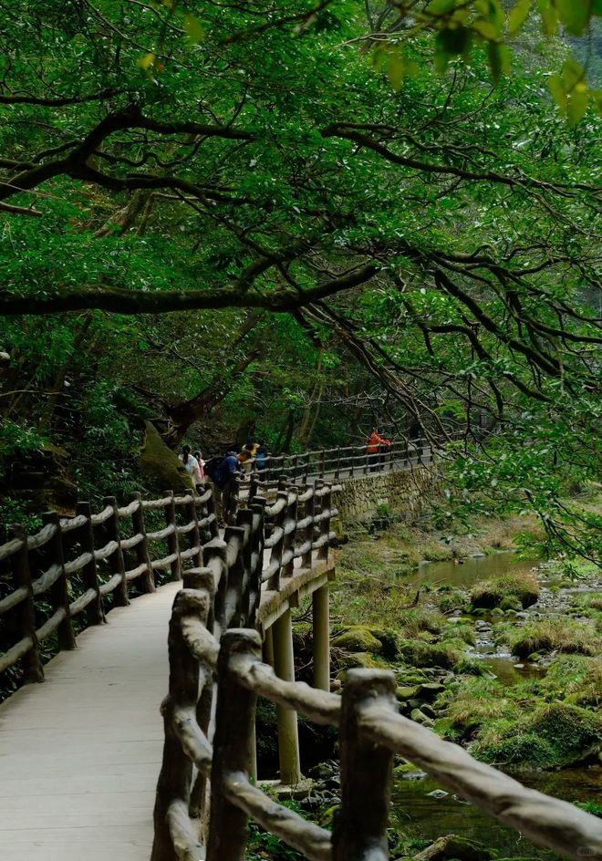 张家界武陵源三日家庭亲子纯玩团零购物无自费路线规划必备物品(图5)