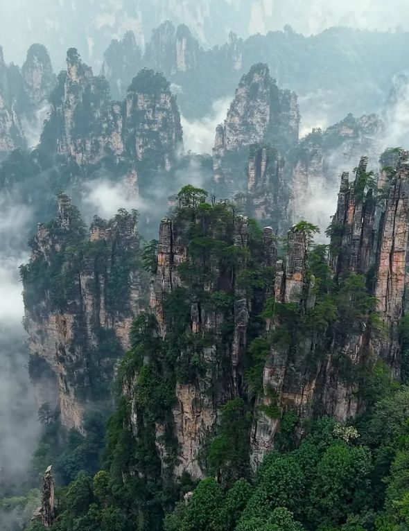 张家界武陵源三日家庭亲子纯玩团零购物无自费路线规划必备物品(图2)