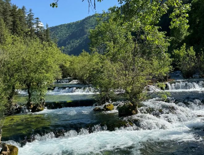 新手初次去四川旅游怎么玩靠谱行程规划含景点推荐与费用明细(图4)