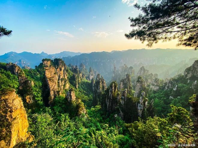 张家界五天怎么玩攻略？注意事项+避坑本地导游规划人均费用(图1)