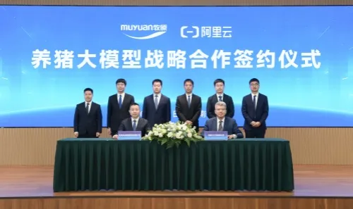 牧原与阿里云达成AI战略合作联合打造AI助手将猪群健康检测提效超百倍(图1)