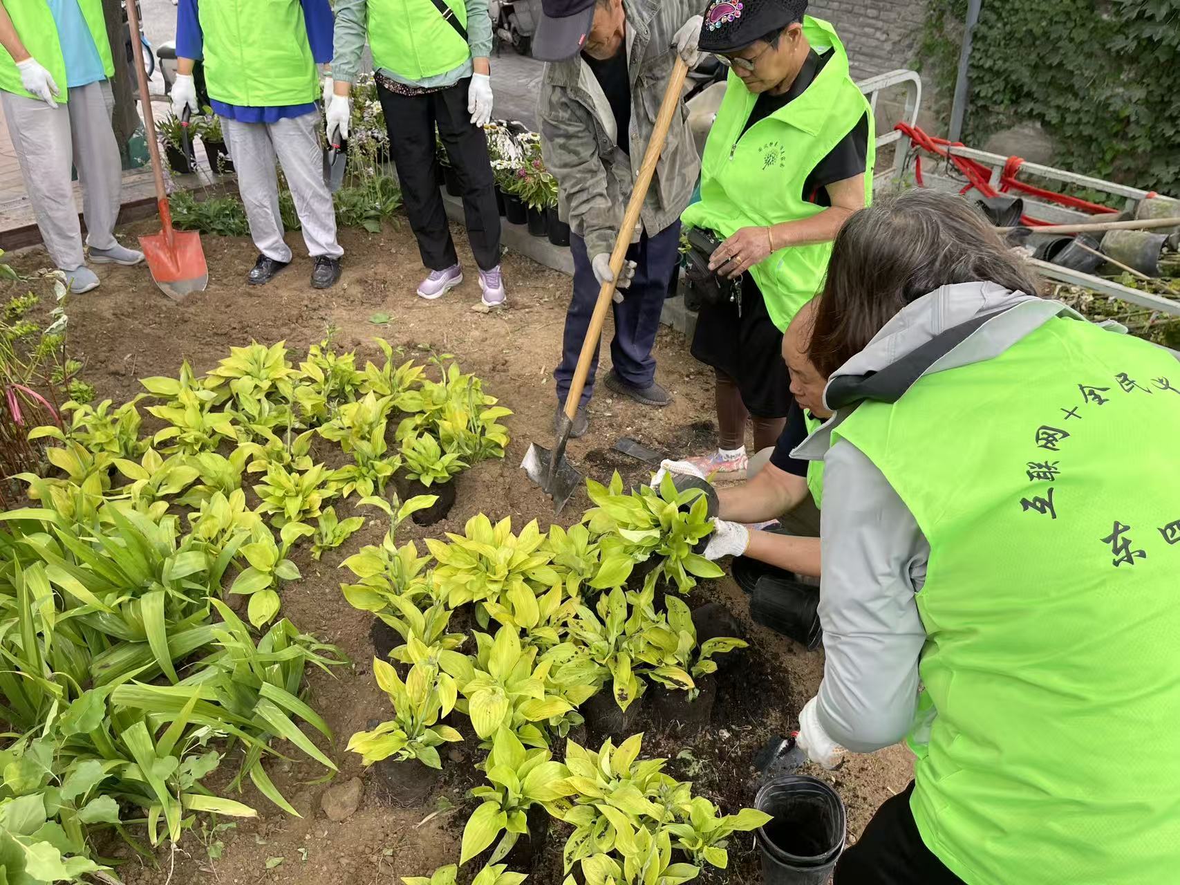 闲置地变家门口美景北京社区微更新点亮城市绿意(图4)