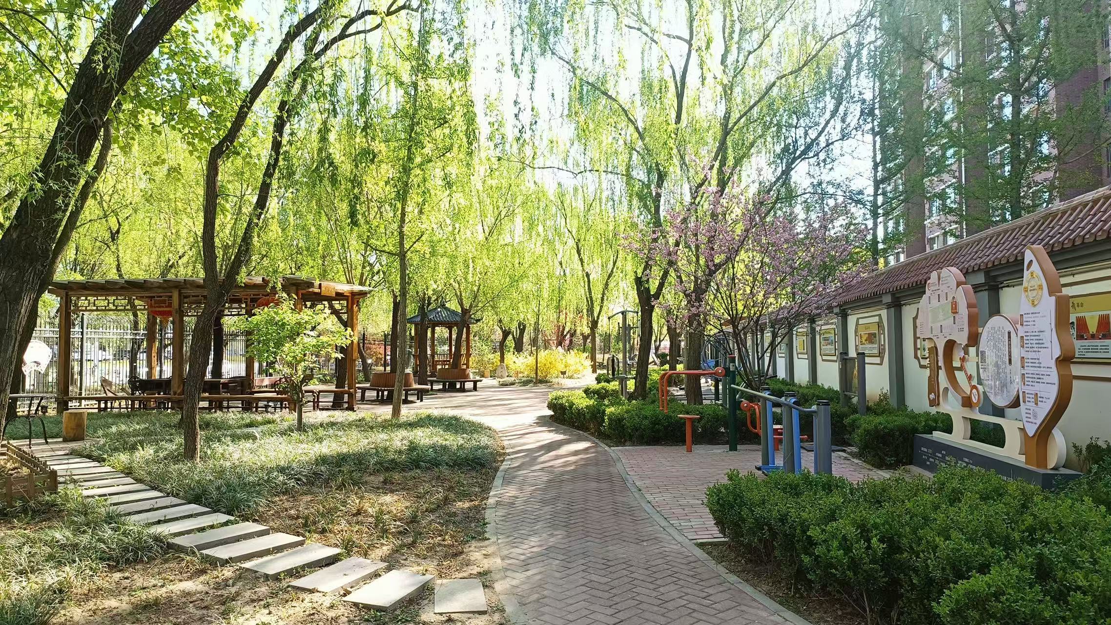 闲置地变家门口美景北京社区微更新点亮城市绿意(图2)