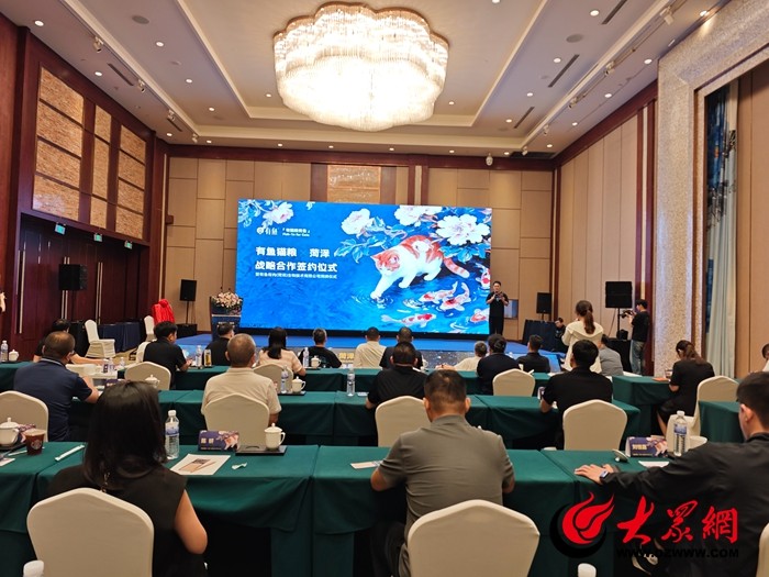 “喵～菏泽我来了！”_菏泽新闻_大众网(图1)