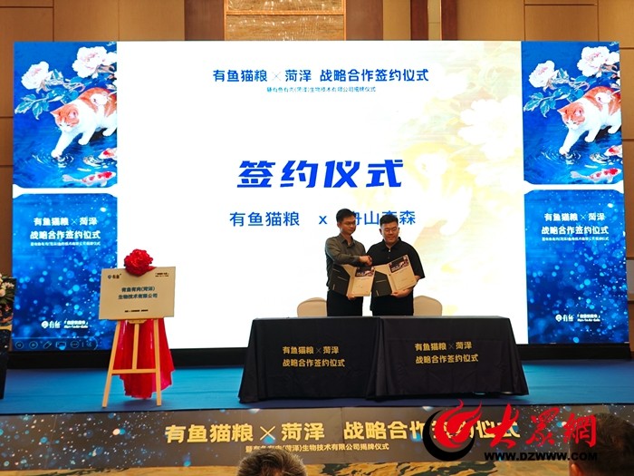 “喵～菏泽我来了！”_菏泽新闻_大众网(图3)