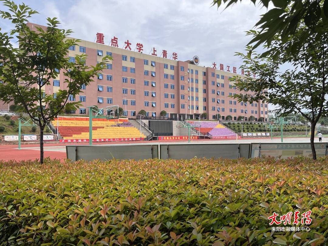 从金华再出发：贝因美的三重跨越与国民品牌的新叙事(图1)
