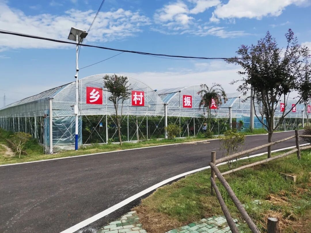躺在星空下品一杯稻田咖啡黄陂沿河村凭这份闲适感火出圈(图5)