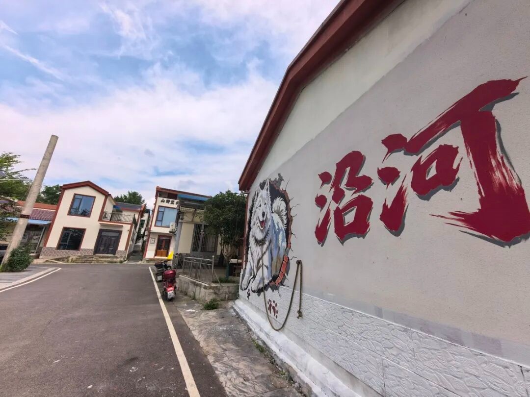 躺在星空下品一杯稻田咖啡黄陂沿河村凭这份闲适感火出圈(图1)