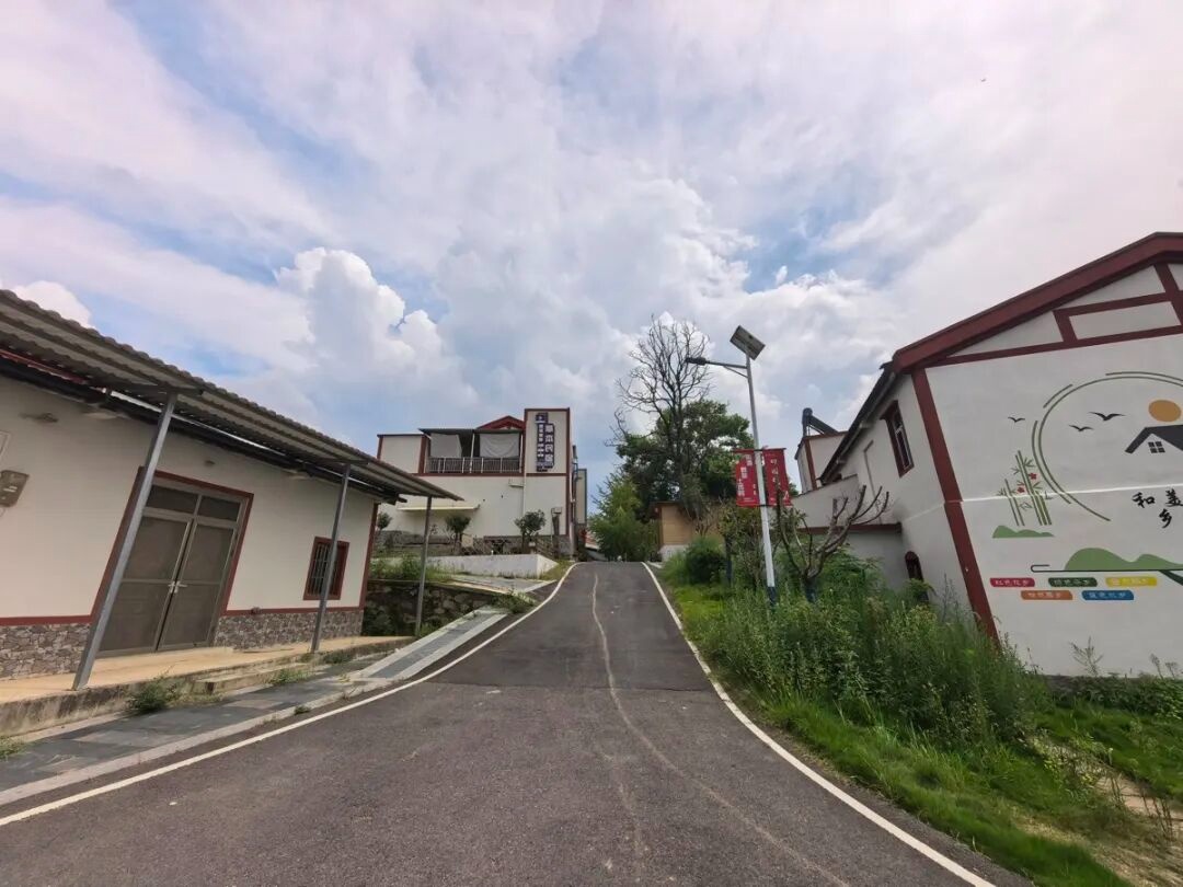 躺在星空下品一杯稻田咖啡黄陂沿河村凭这份闲适感火出圈(图4)