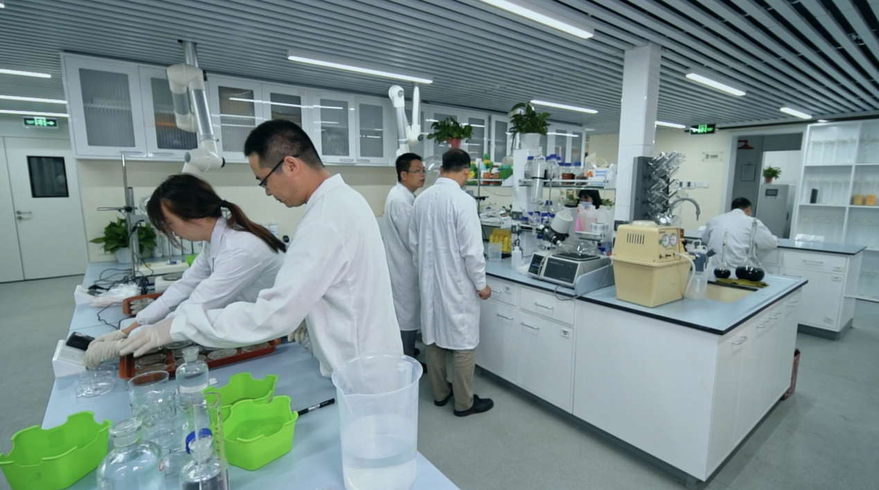 夯实大国粮仓的“营养”基石——解码磷复肥行业龙头新洋丰的硬核研创之道(图2)