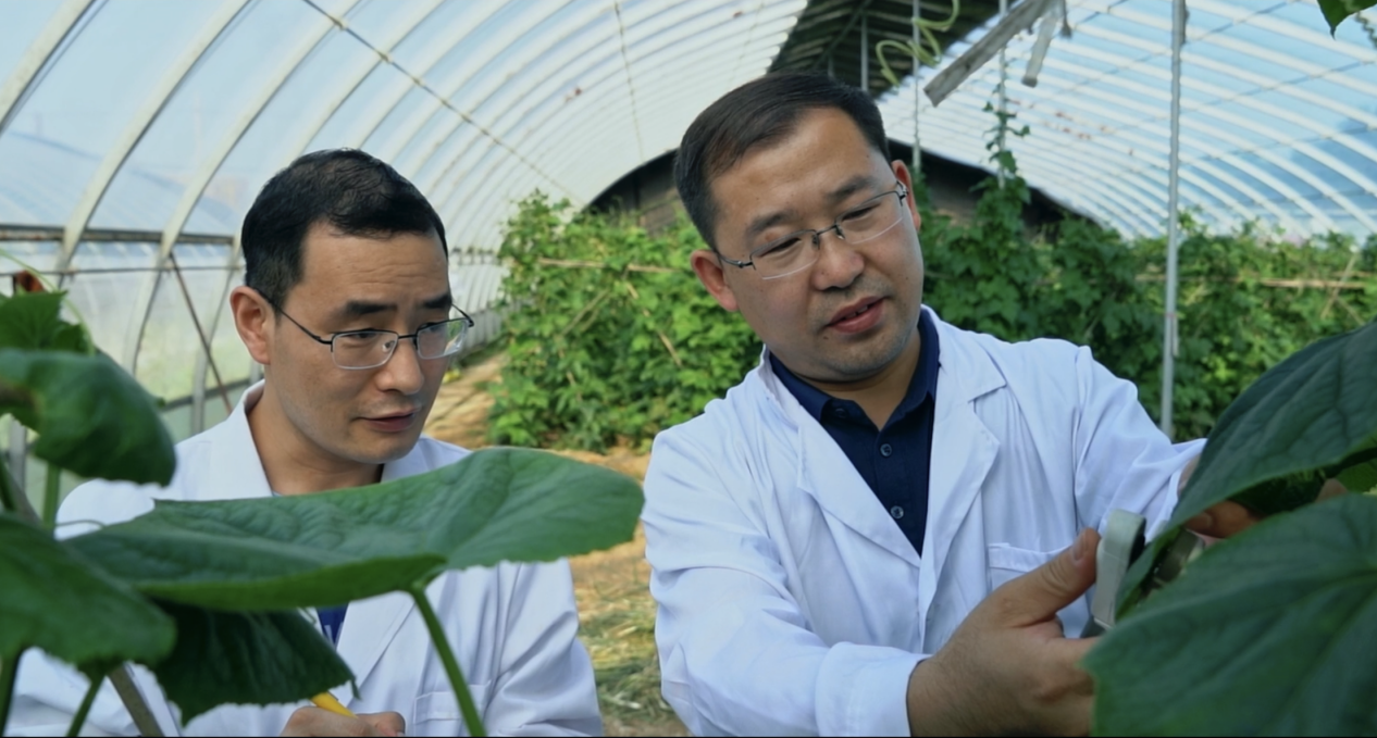 夯实大国粮仓的“营养”基石——解码磷复肥行业龙头新洋丰的硬核研创之道(图3)