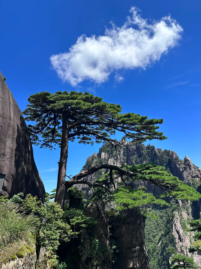 报团去黄山游玩五天四晚如何规划线路？黄山旅游五天四晚攻略