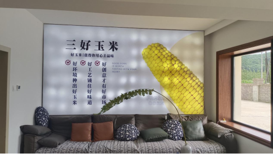 “吉林鲜食玉米黄金名片”获得者丁淇：用匠心与创新让“喜乐掰掰”香飘全国(图3)