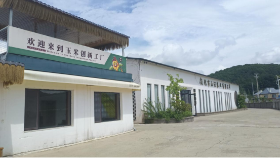 “吉林鲜食玉米黄金名片”获得者丁淇：用匠心与创新让“喜乐掰掰”香飘全国