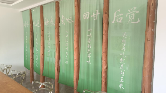 “吉林鲜食玉米黄金名片”获得者丁淇：用匠心与创新让“喜乐掰掰”香飘全国(图4)