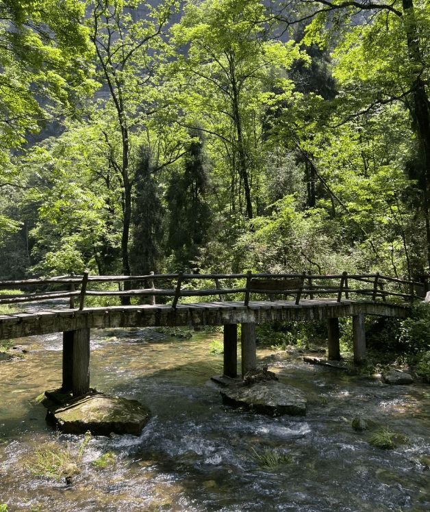 张家界旅游必看景点！张家界五日游最佳季节+旅游路线规划(图2)