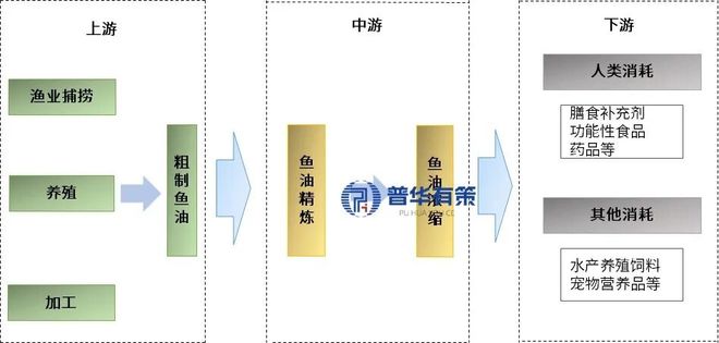 “十五五”鱼油行业细分市场调研及投资战略规划报告(图3)