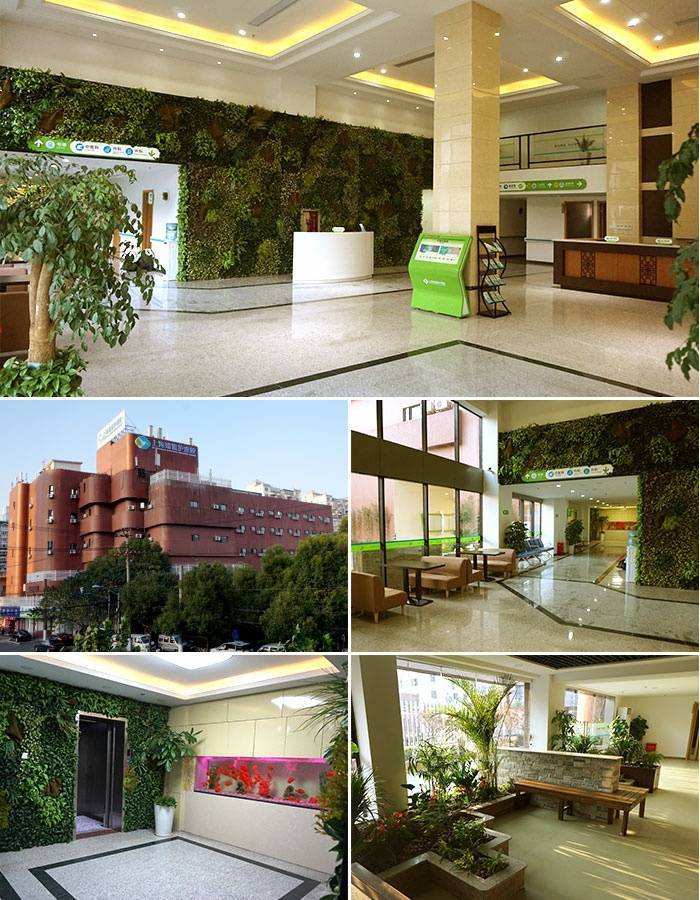 2025上海杨浦区失能卧床护理院全解医保报销便利营养配餐定制预约指南快收藏(图6)